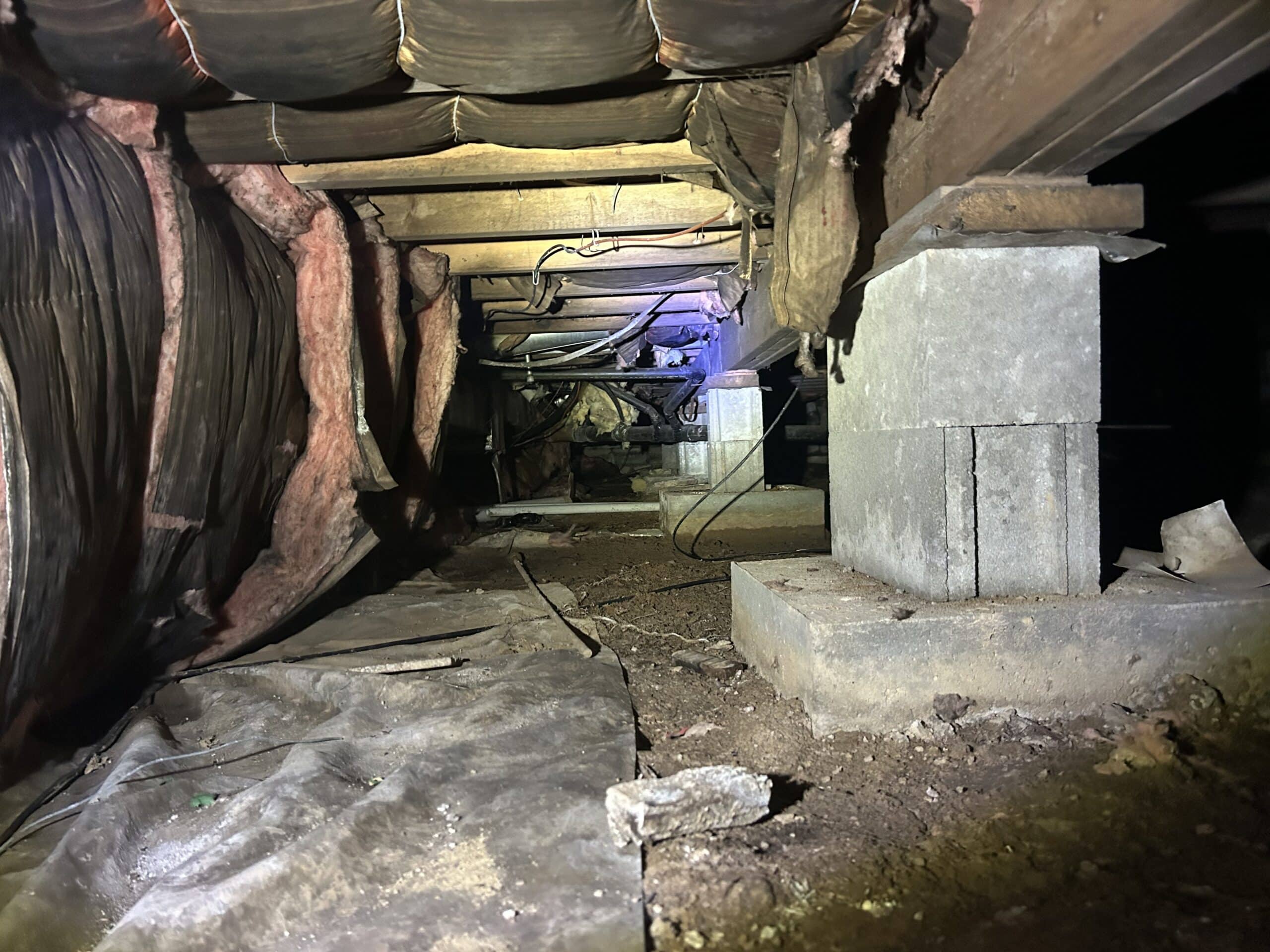 Why Crawlspace Care Is Essential for a Healthy Home